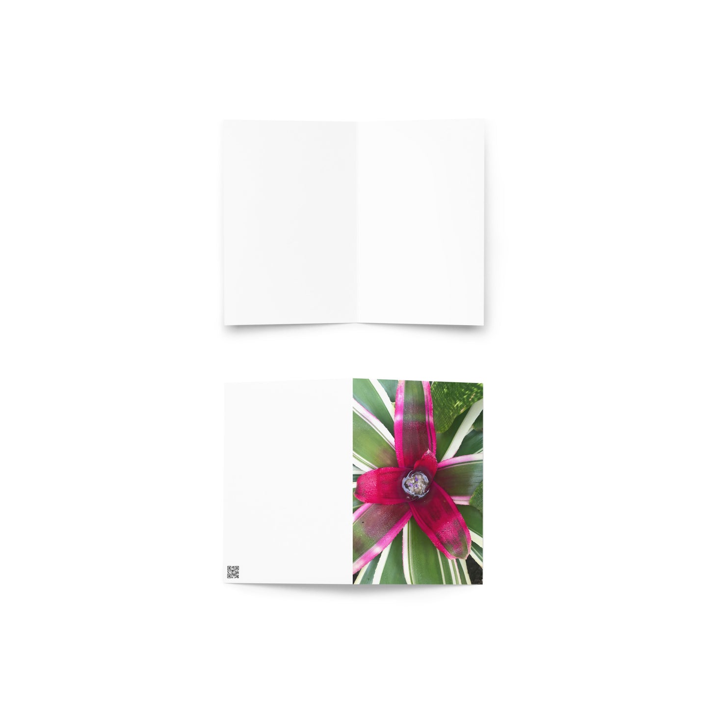 Bromeliad 1 Card