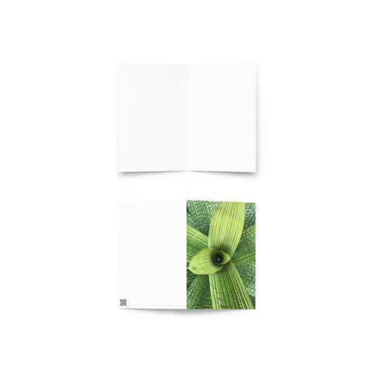 Bromeliad 2 Card